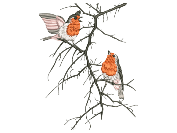 Robin Birds on Bare Branch: A Designer's Review